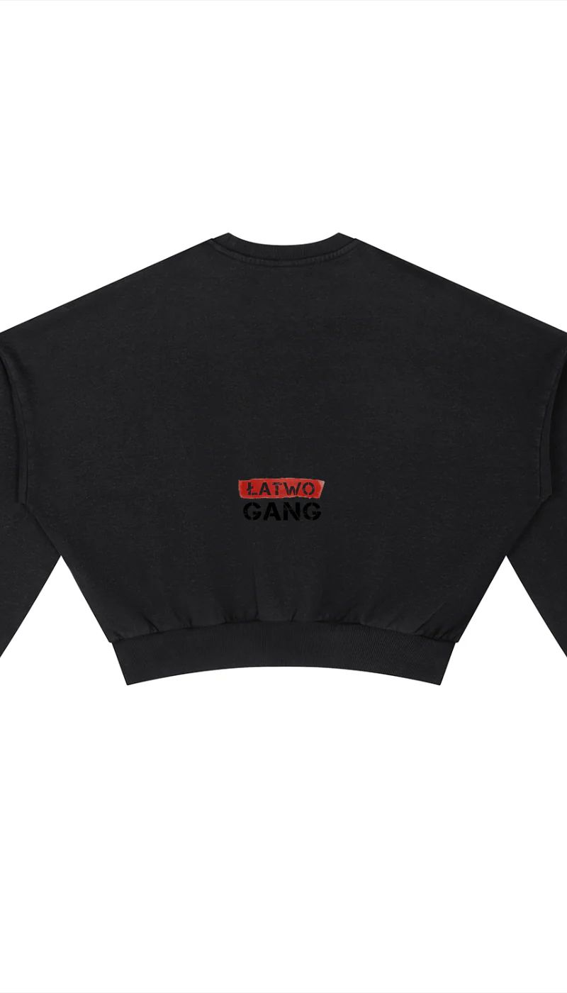 ŁATWOGANG drop 39 — Vintage Washed Cropped Sweatshirt - ŁATWOGANG™ — detal (3/13)