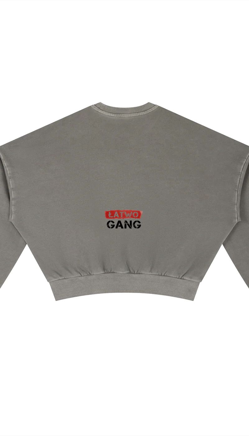 ŁATWOGANG drop 39 — Vintage Washed Cropped Sweatshirt - ŁATWOGANG™ — przód (1/13)